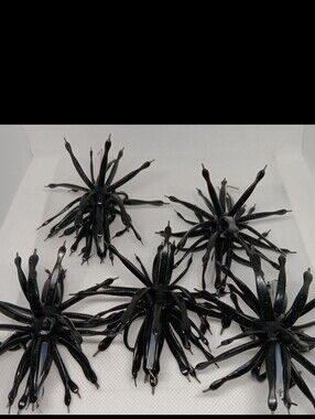 6th Sense The Abstract Lot Of 5 Size 18 Black/Blue Fishing Plastics New No Boxes